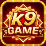 https://allpakcasino.com.pk/