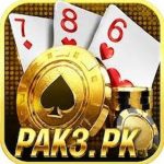 https://allpakcasino.com.pk/