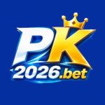https://allpakcasino.com.pk/