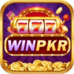https://allpakcasino.com.pk/